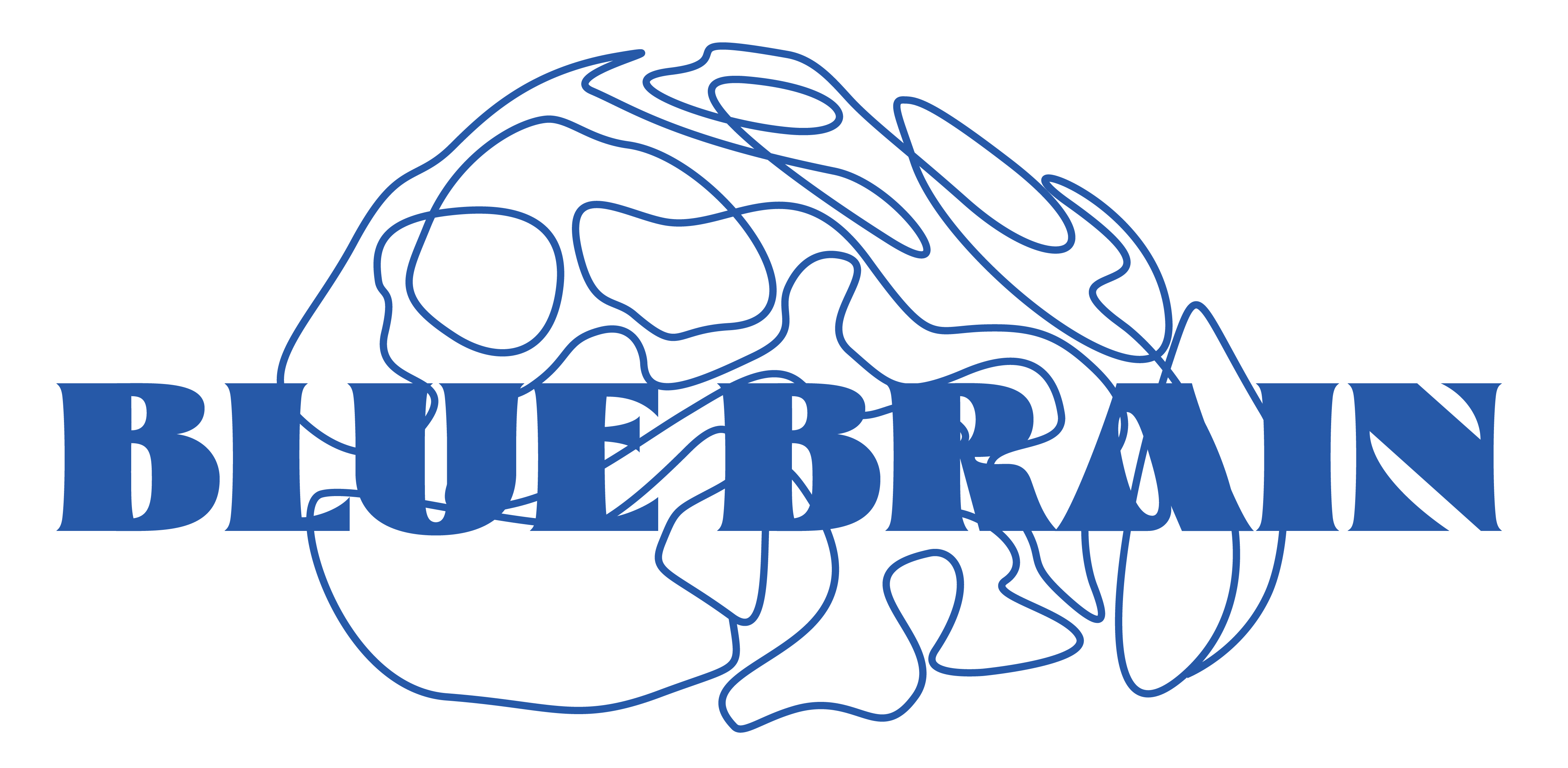 bluebrainapparel